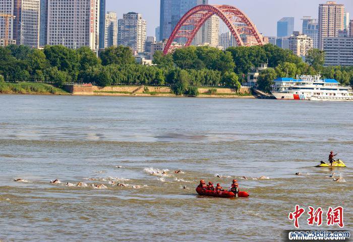 图为插足抢渡挑战赛须眉选手劈波斩浪。中新社记者 张畅 摄